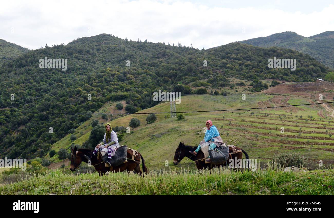 Moroccan women riding their horses in the Rif Mountains region in northern Morocco. Stock Photo