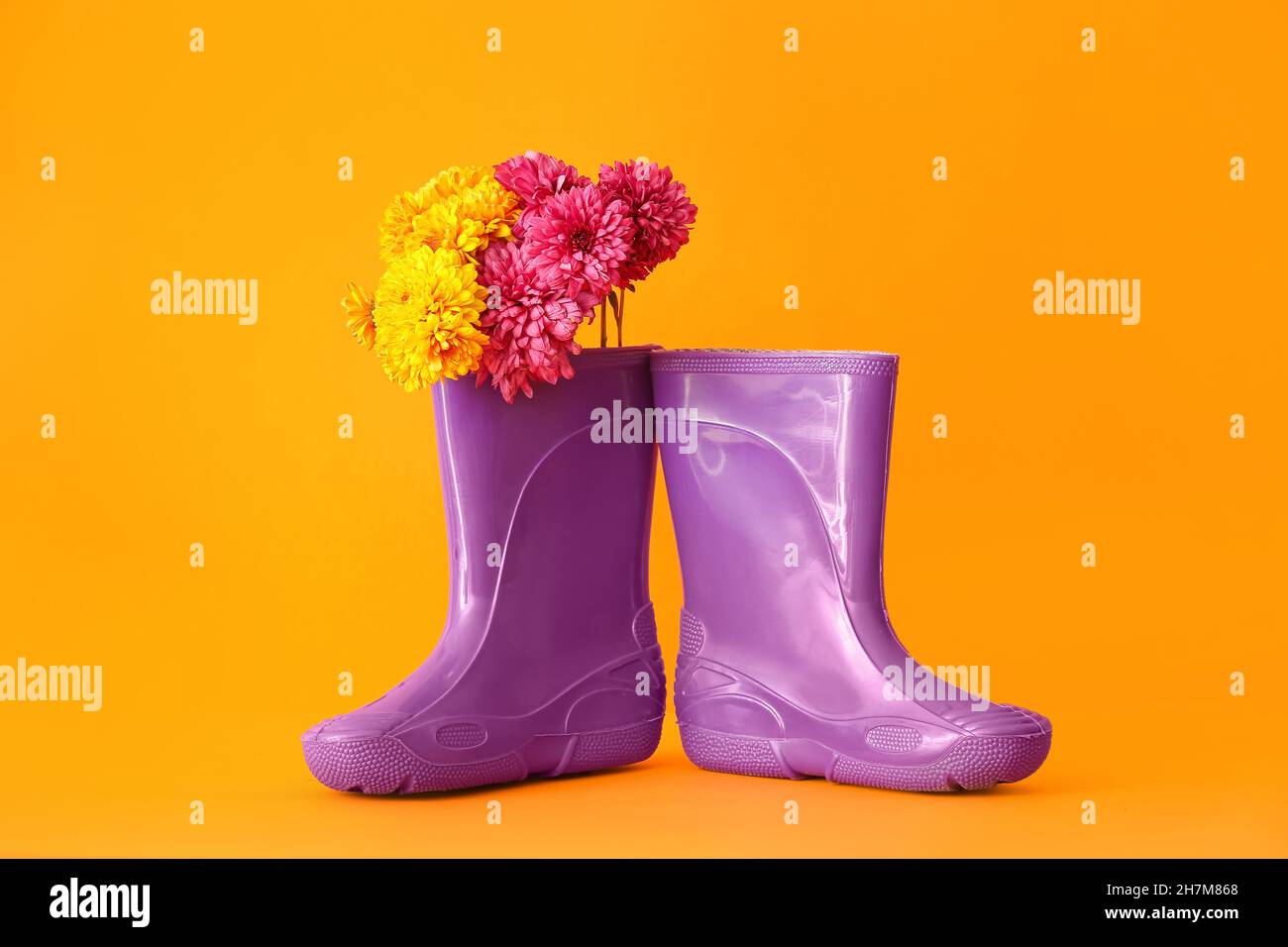 Rubber boots and flowers on color background Stock Photo Alamy
