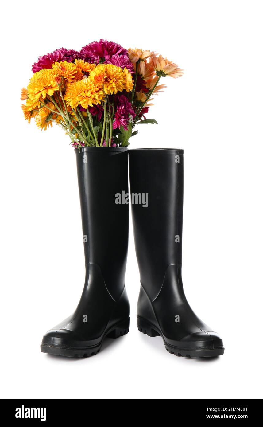 Rubber boots and beautiful autumn flowers on white background Stock ...