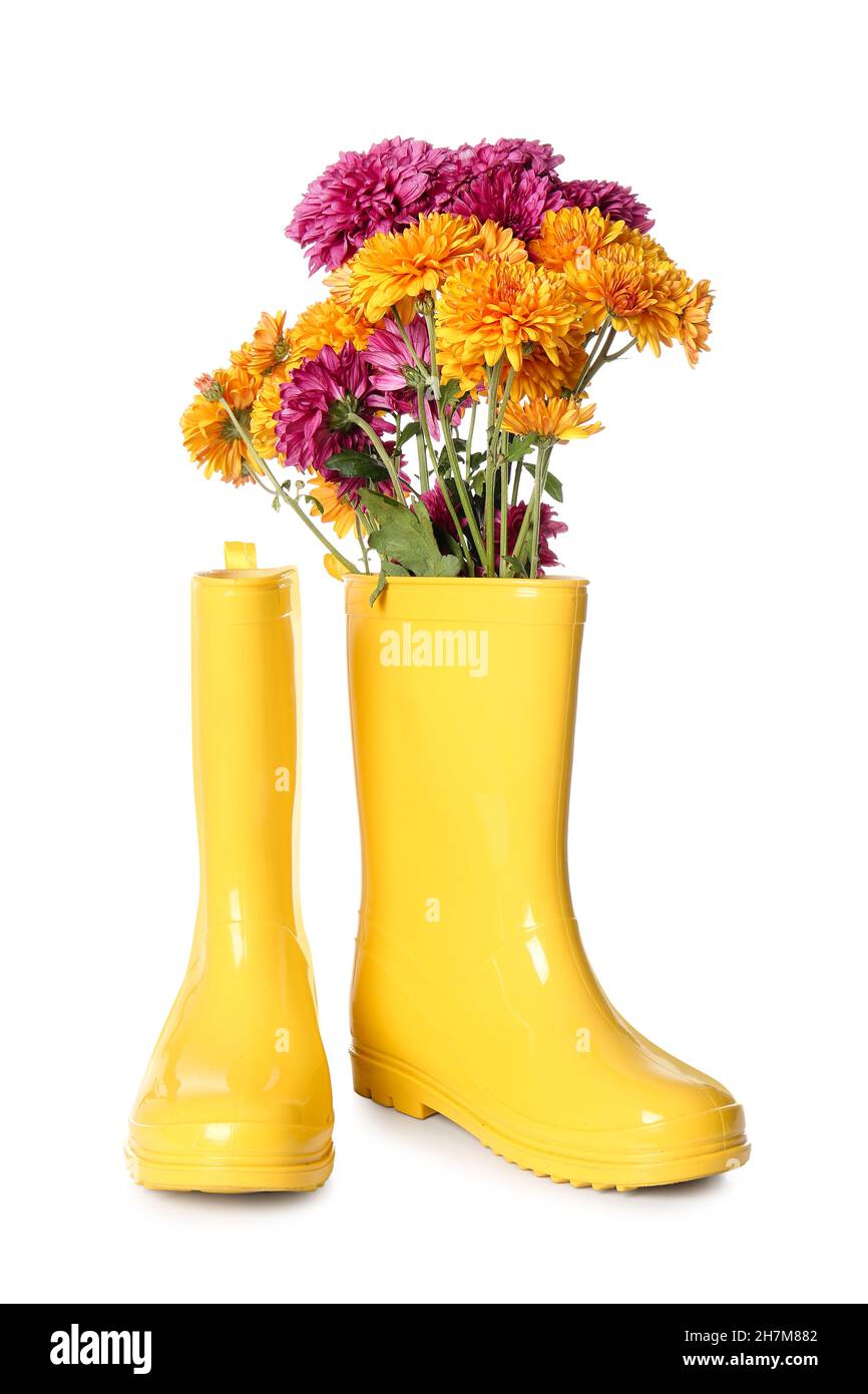Pair of rubber boots and beautiful autumn flowers on white background