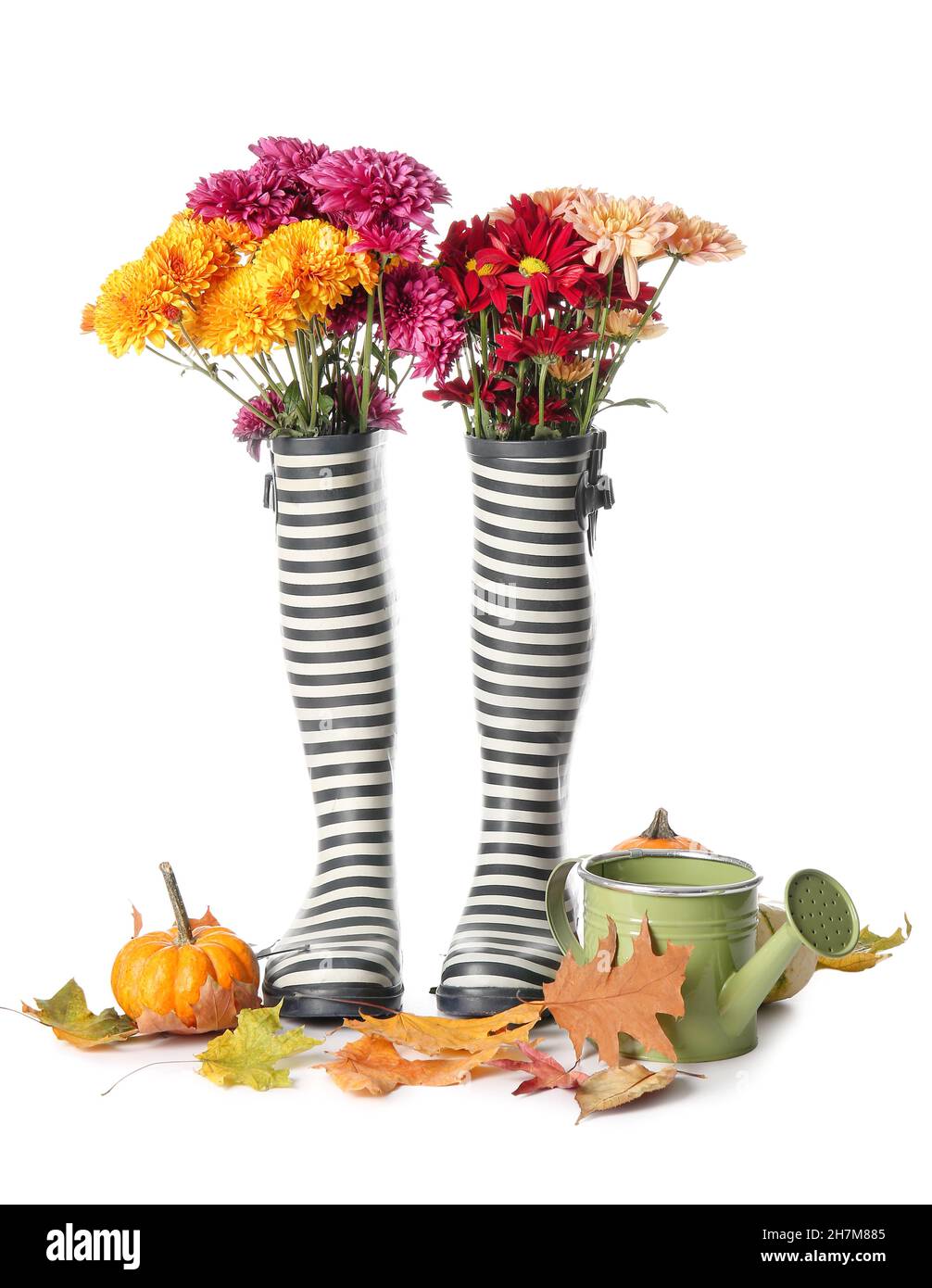Composition with rubber boots, beautiful flowers and autumn leaves on ...
