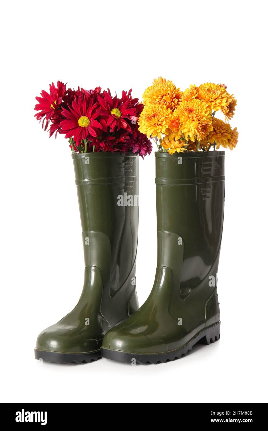 Rubber boots and beautiful autumn flowers isolated on white background ...