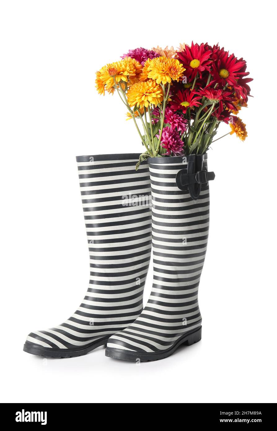 Rubber boots and beautiful autumn flowers on white background Stock
