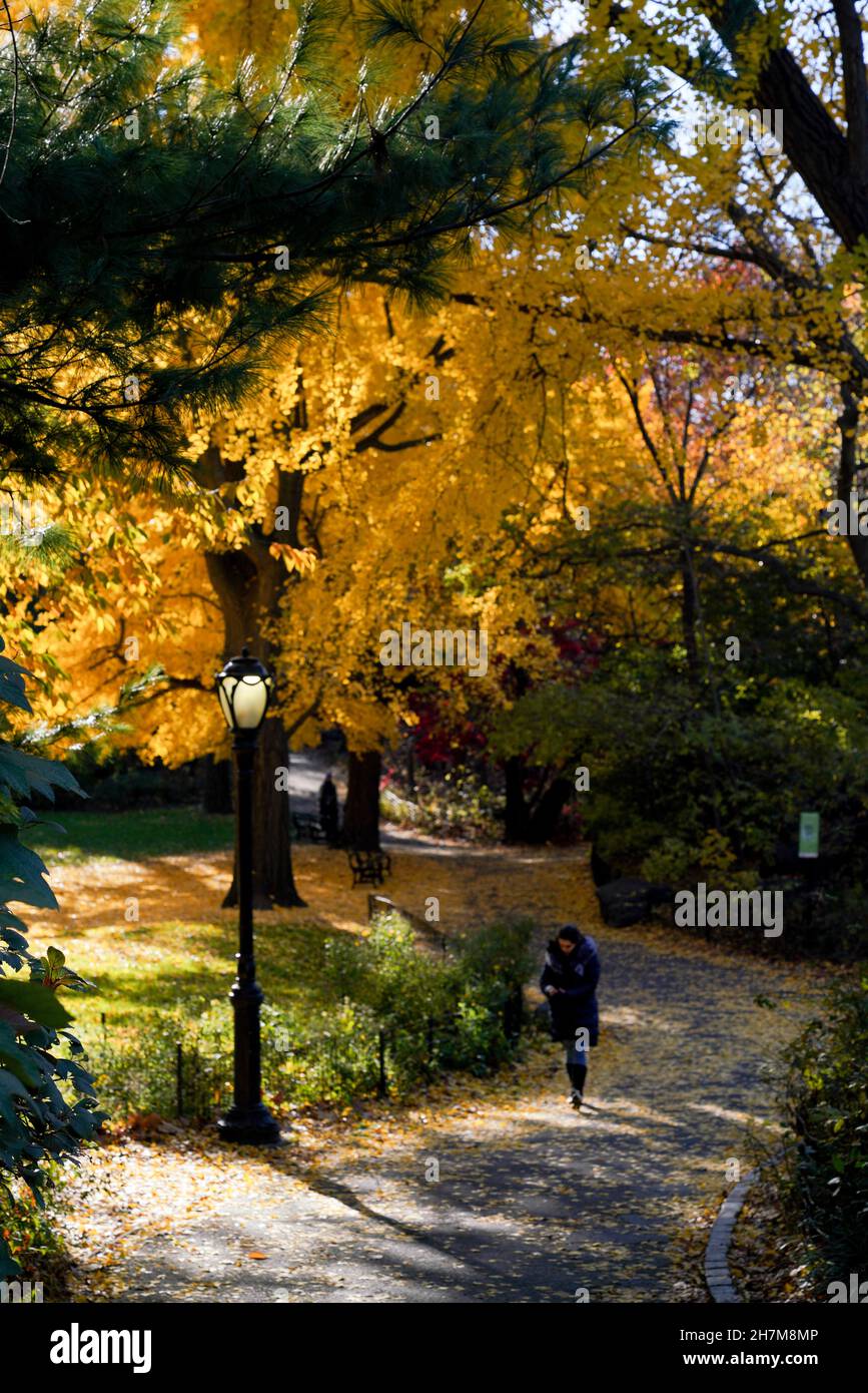 Walkers in Central Park on a sunny fall morning, as leaves are falling and trees are turning colors. Stock Photo