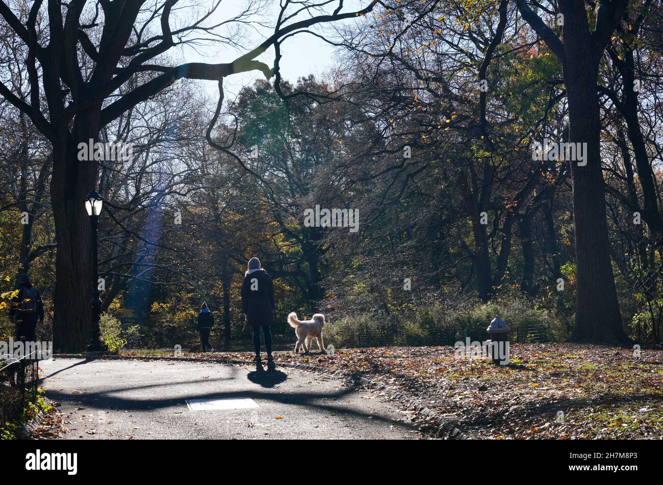 Walkers in Central Park on a sunny fall morning, as leaves are falling and trees are turning colors. Stock Photo