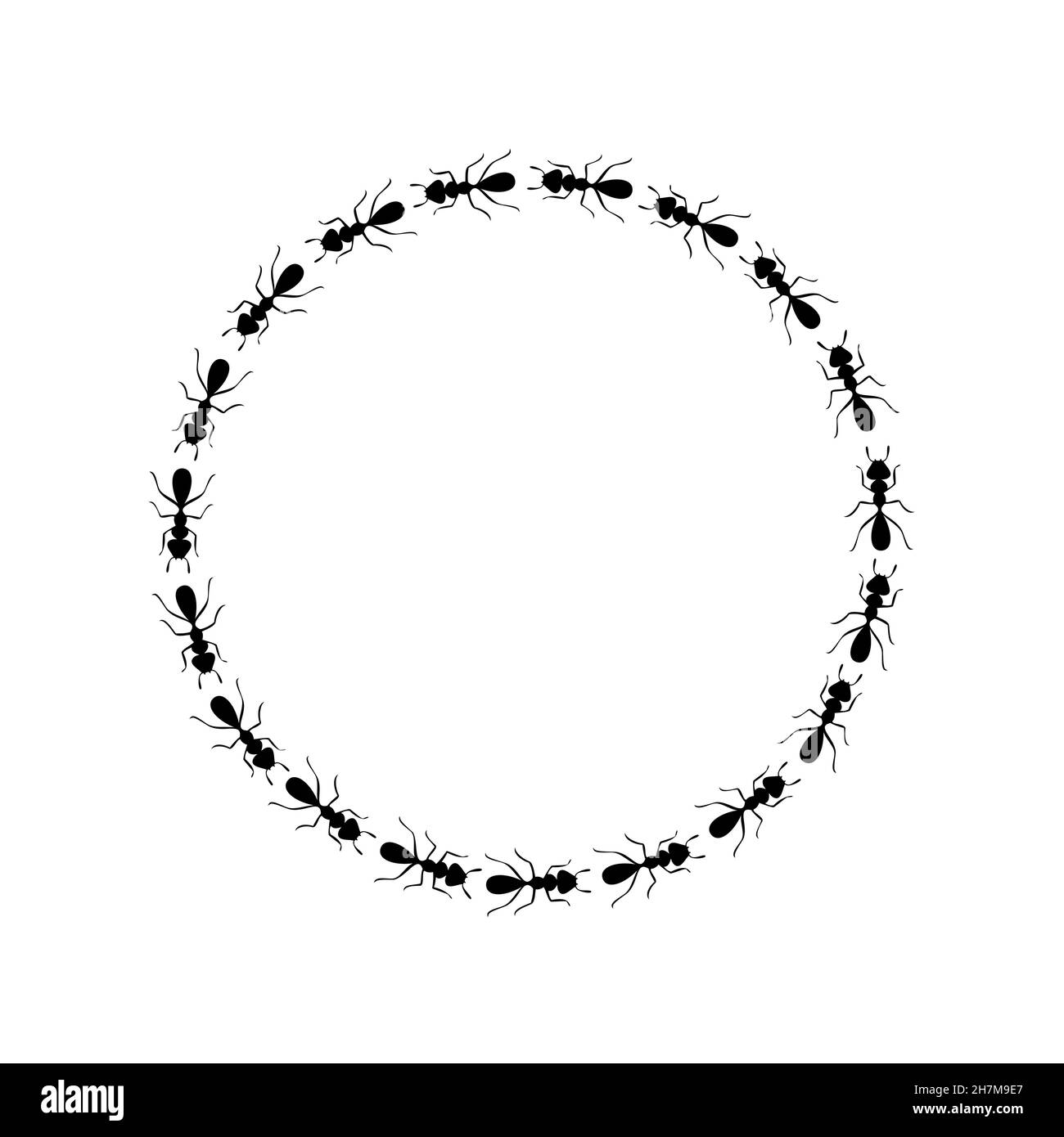 Black ants circle border. Ants forming round shape isolated in white background. Vector illustration Stock Vector