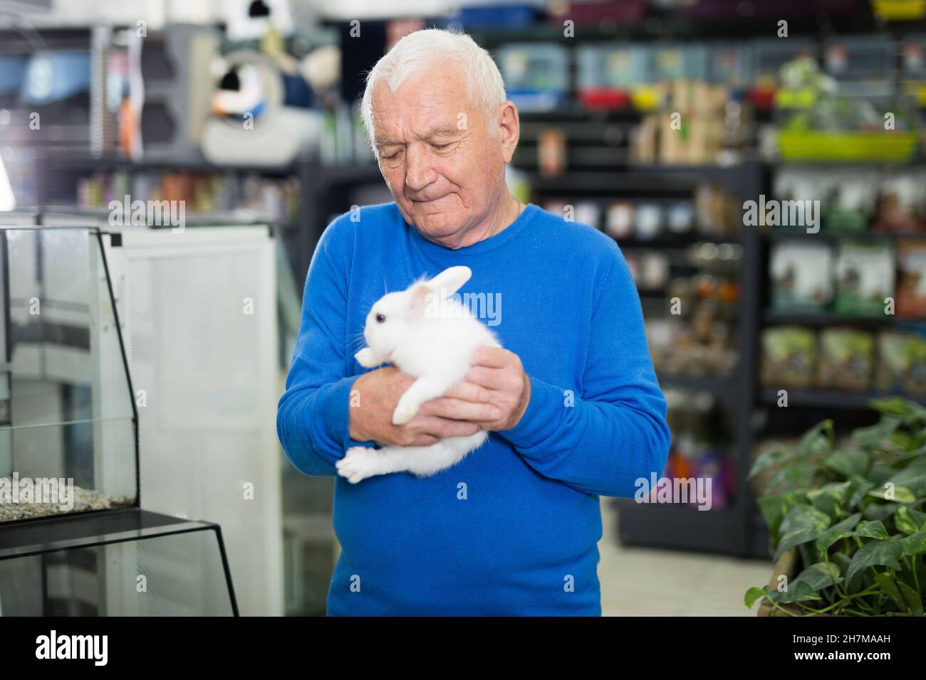 Old man with white rabbit in pet shop Stock Photo - Alamy