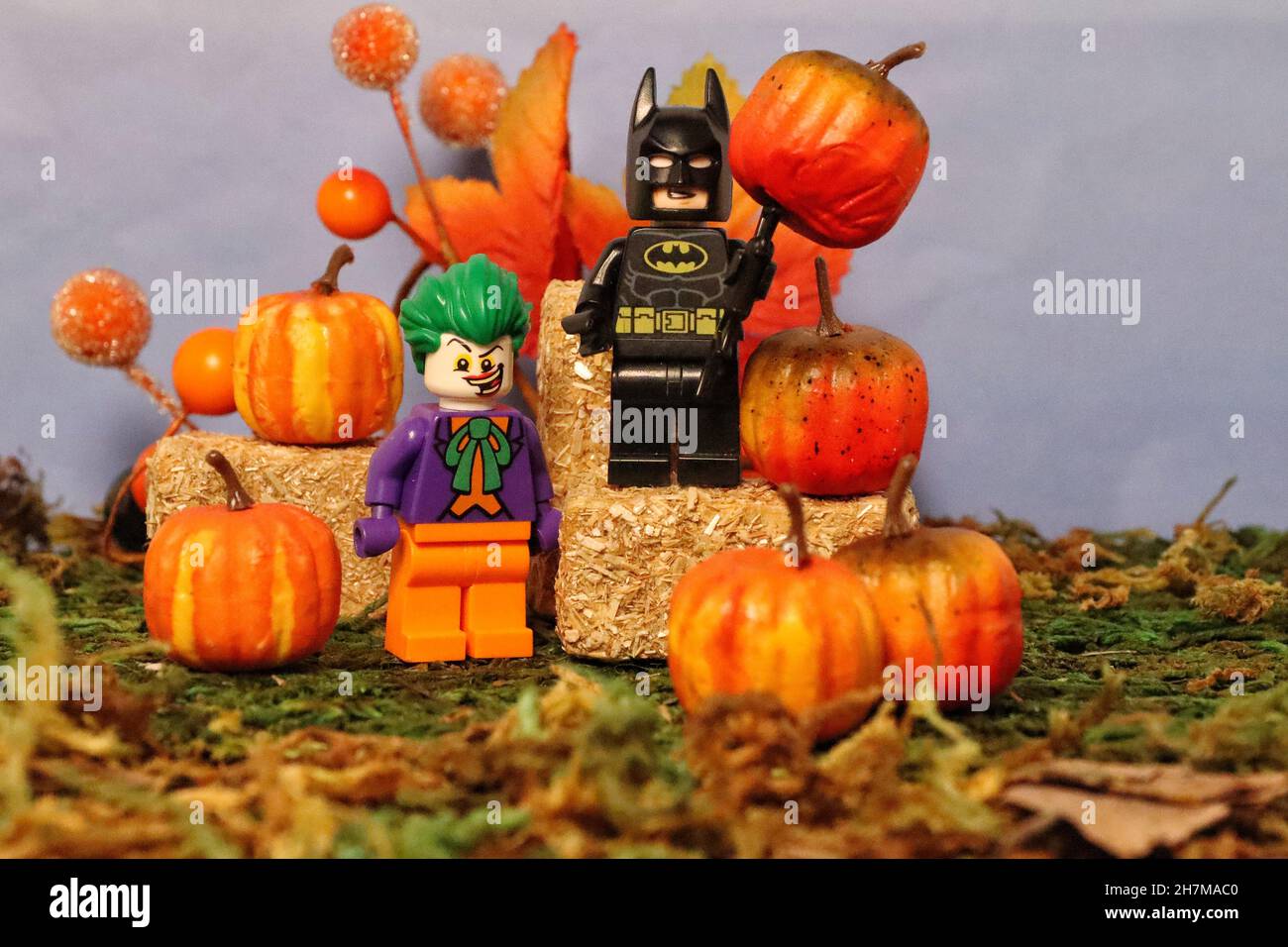 GREENVILLE UNITED STATES Oct 24 2021 The Batman and Joker LEGO toy figure with tiny pumpkins as halloween decorations Stock Photo Alamy