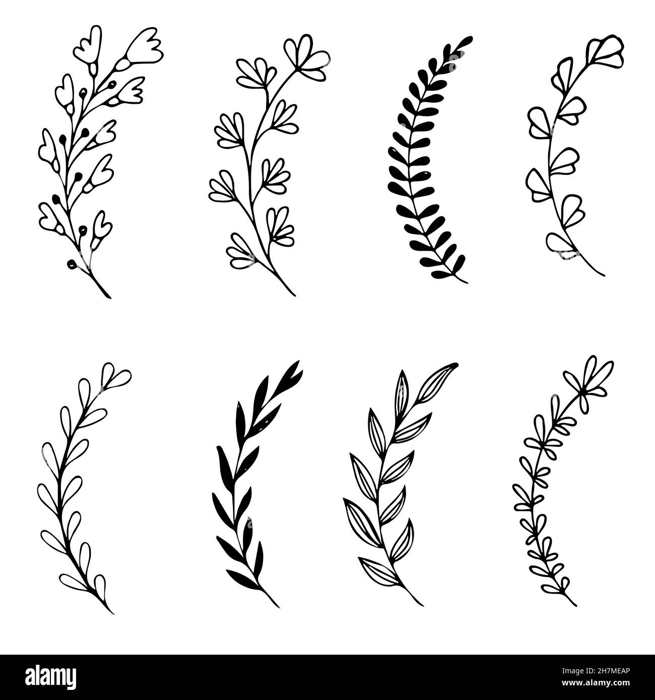 Set of hand drawn doodle tree branches with leaves on white background ...