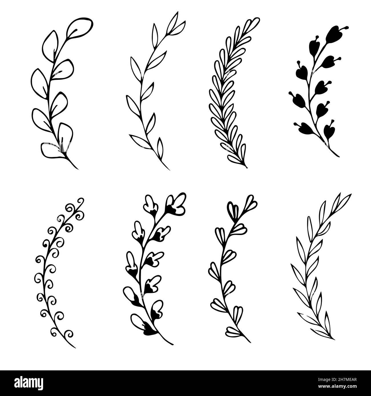 Set of hand drawn doodle tree branches with leaves on white background ...