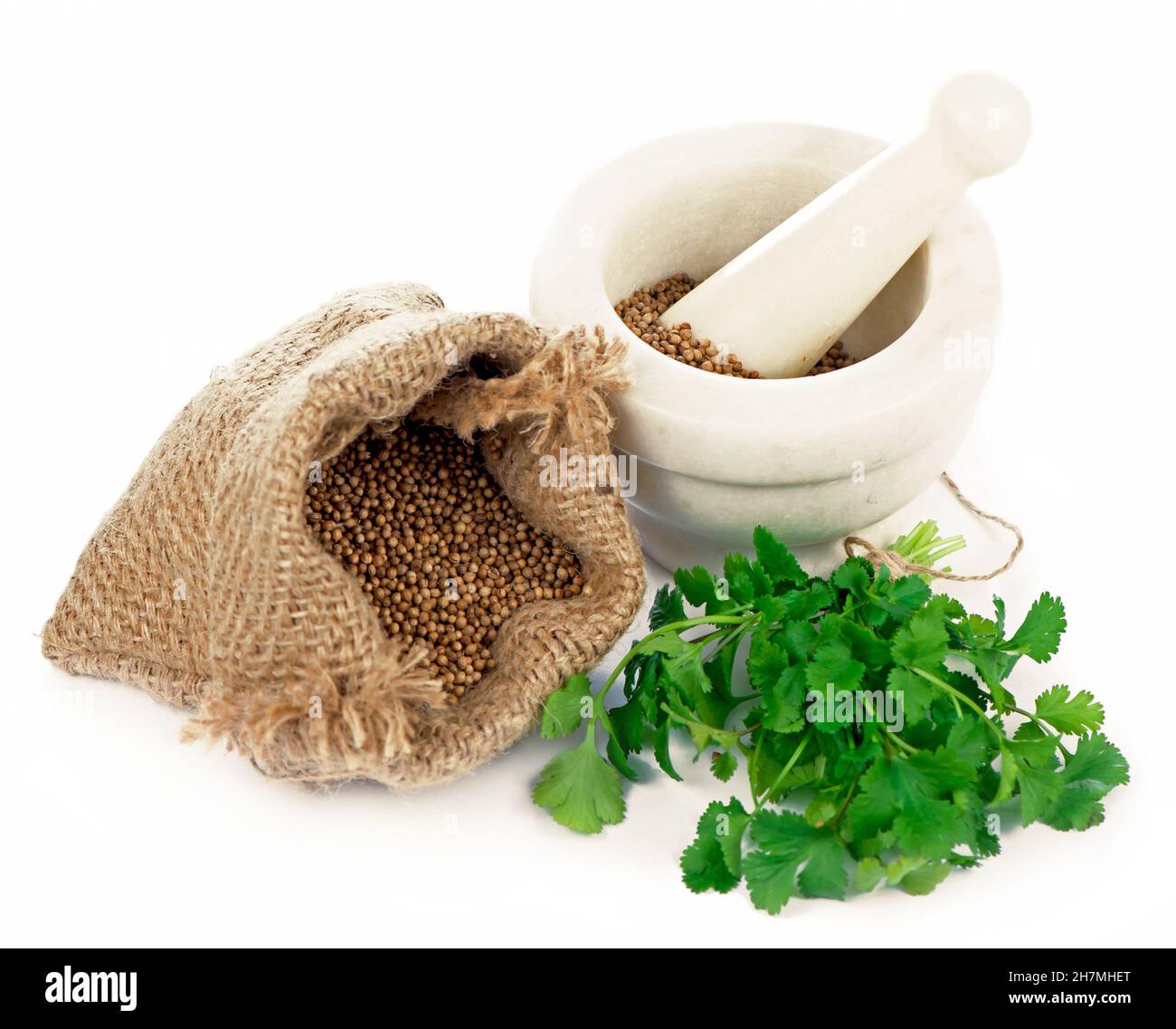 cilantro coriander seeds and leaves with granite mortar Stock Photo Alamy