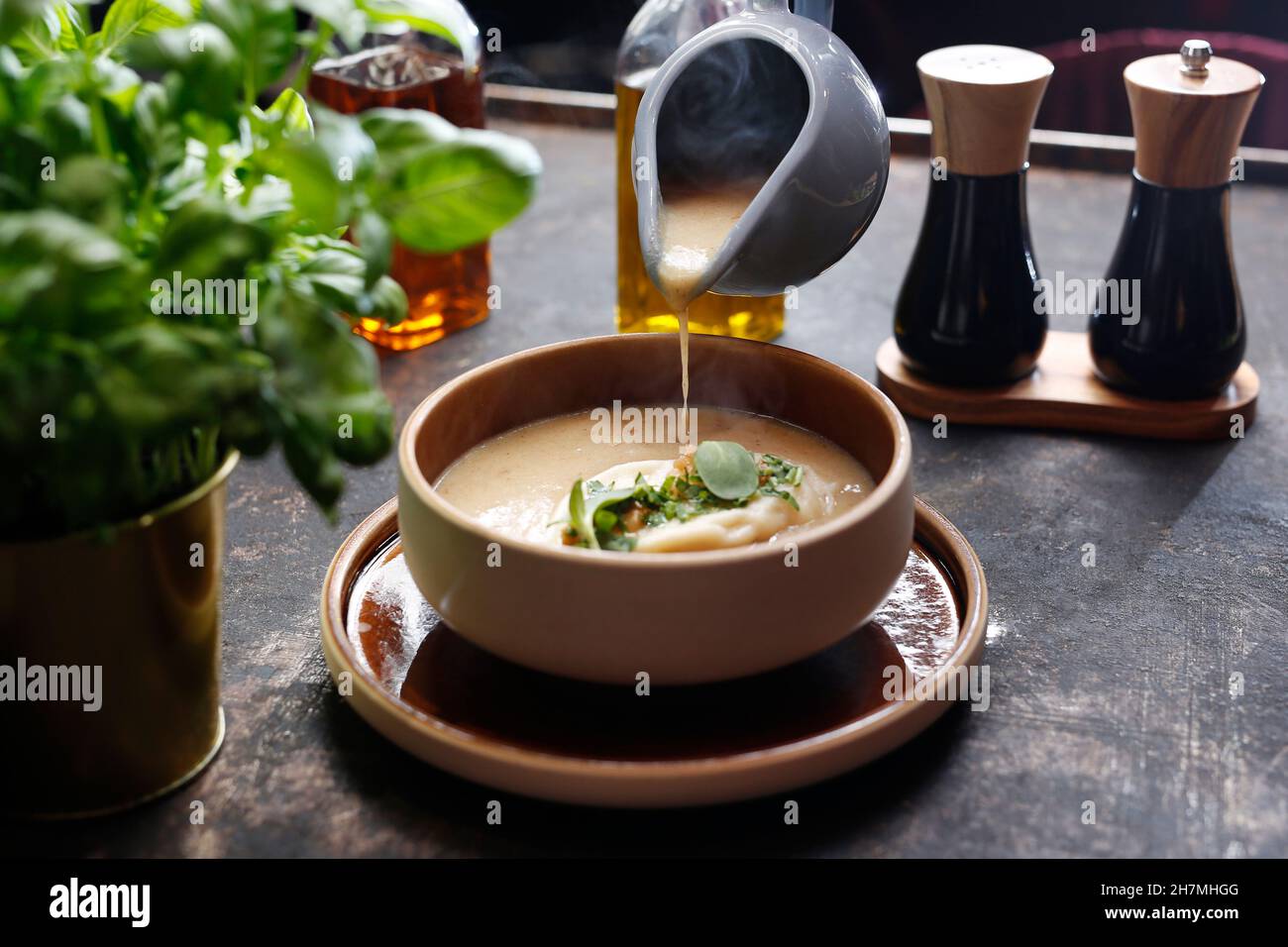 Mushroom cream soup with dumplings. A warming soup. A tasty dish.Culinary photography. Suggestion to serve the dish. Stock Photo