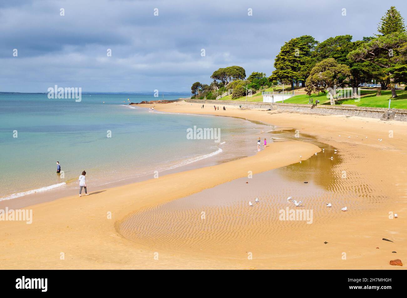 Low tide on the beach Cowes, Victoria, Australia Stock Photo Alamy