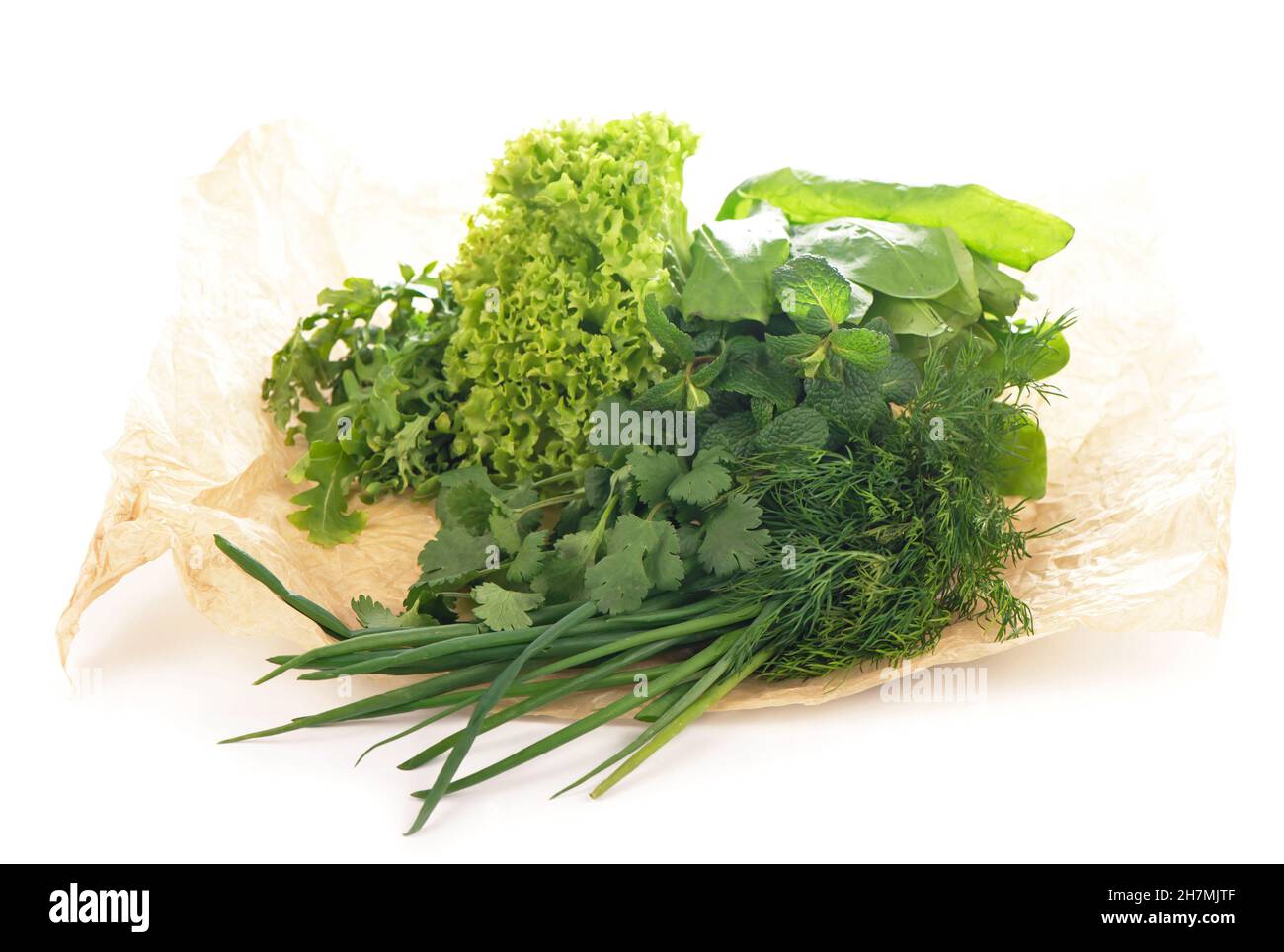 Set of Spice Herbs isolated on white background bunches of thyme, basil