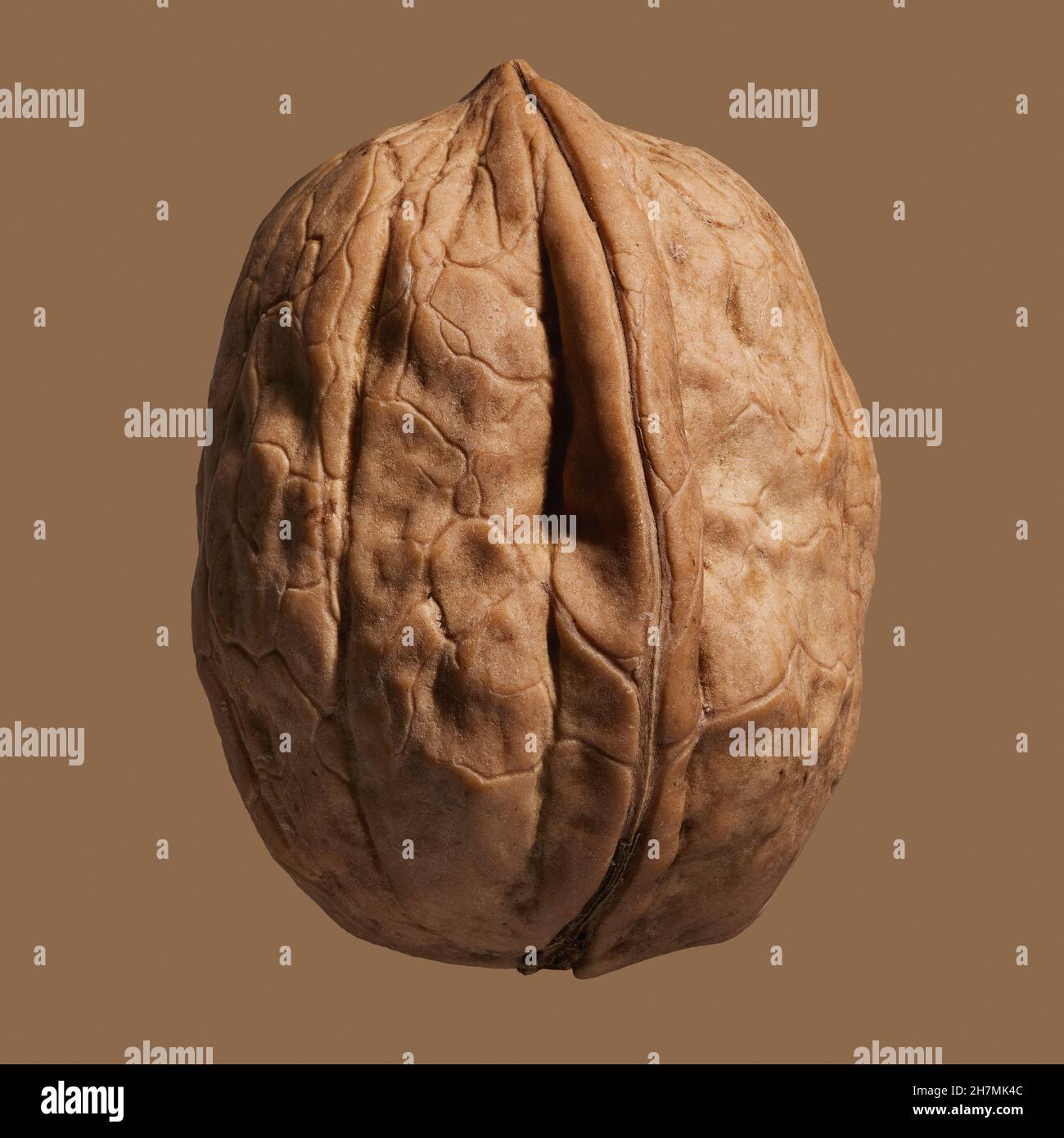 Close up brown German walnut in shell Stock Photo