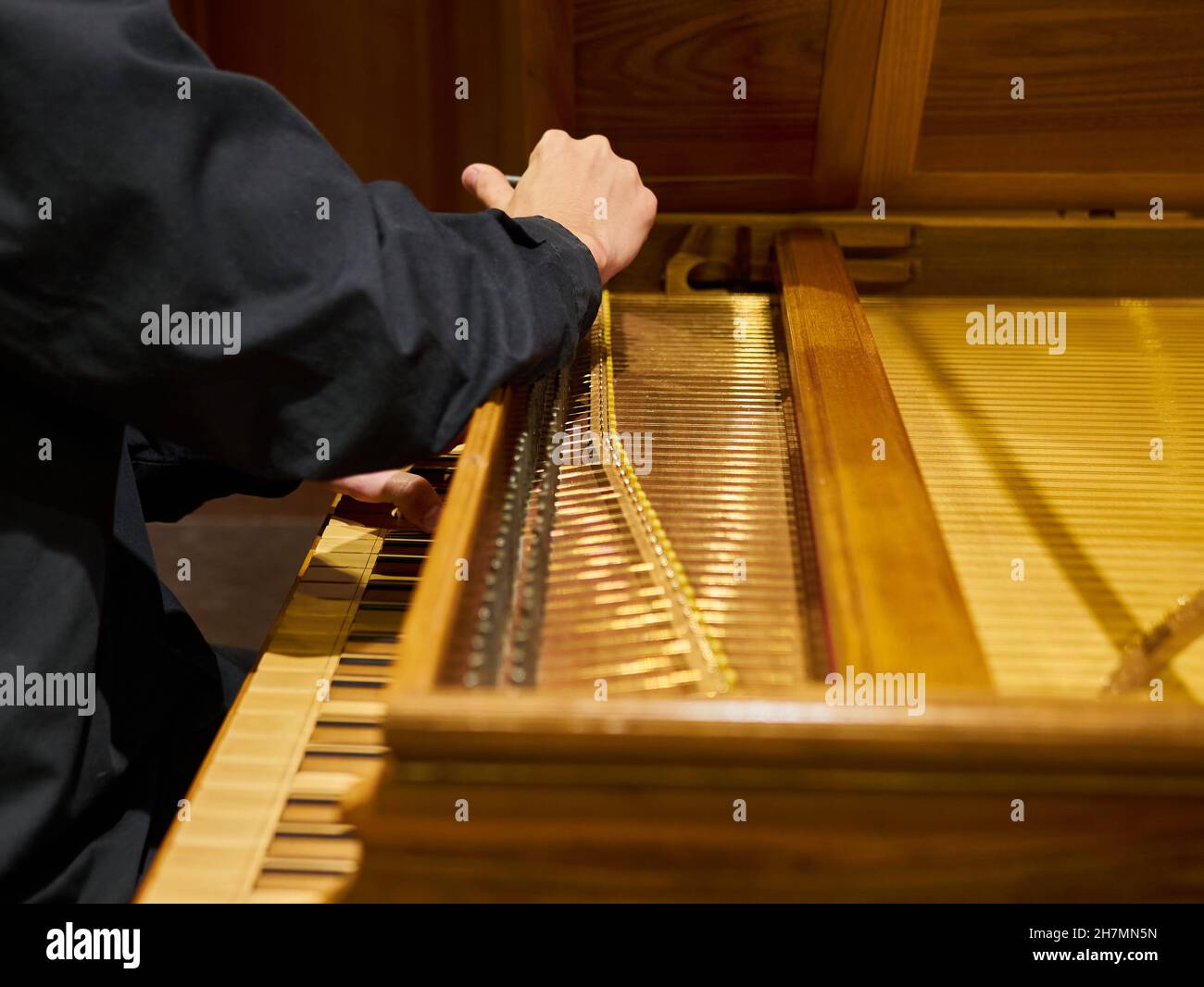 Musician tunes historical harpsichord cembalo with his hands before the concert. Stock Photo