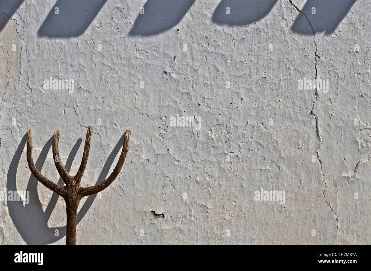 Old Spanish fork, rake, pitchfork, branch fork, pitchfork on white wall