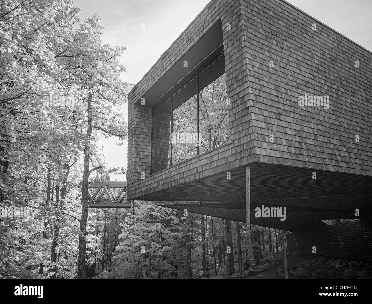 SW infrared image, viewing platform, Northern Black Forest nature Park Centre, Ruhestein, Baiersbronn, Baden-Wuerttemberg, Germany Stock Photo