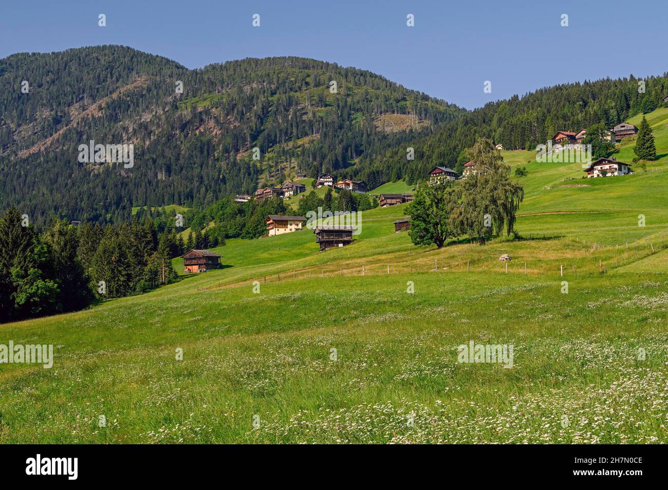 Liesing in Lesach Valley, mountain meadows, midsummer mood, Carinthia, Austria Stock Photo