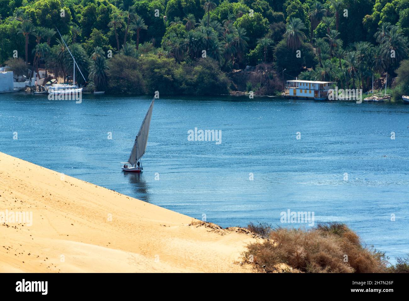 Traditional boat, felucca, sailing past sand dunes and palm trees on the Nile River in Aswan, Egypt Stock Photo