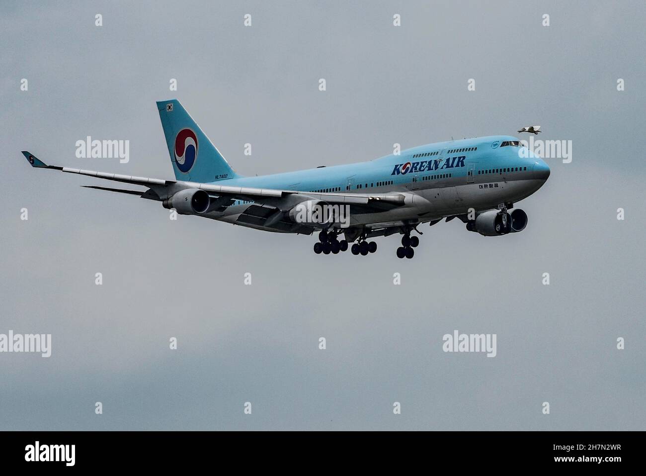 Dangerous situation, Asian stork flies directly in front of a Korean Air Lines Boeing 747 aircraft, Bangkok, Thailand Stock Photo