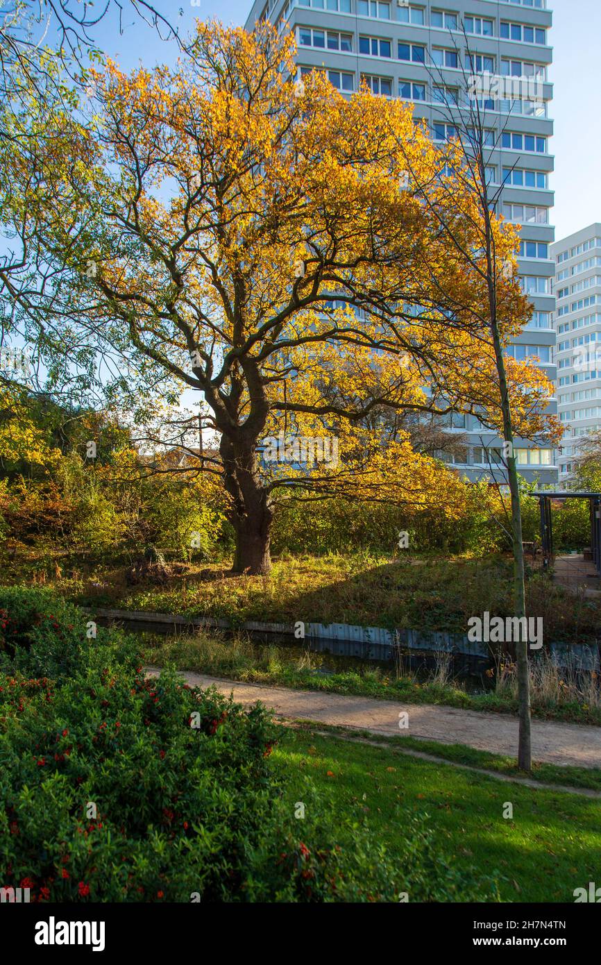 Woodberry Wetlands, Hackney, London N4 Stock Photo
