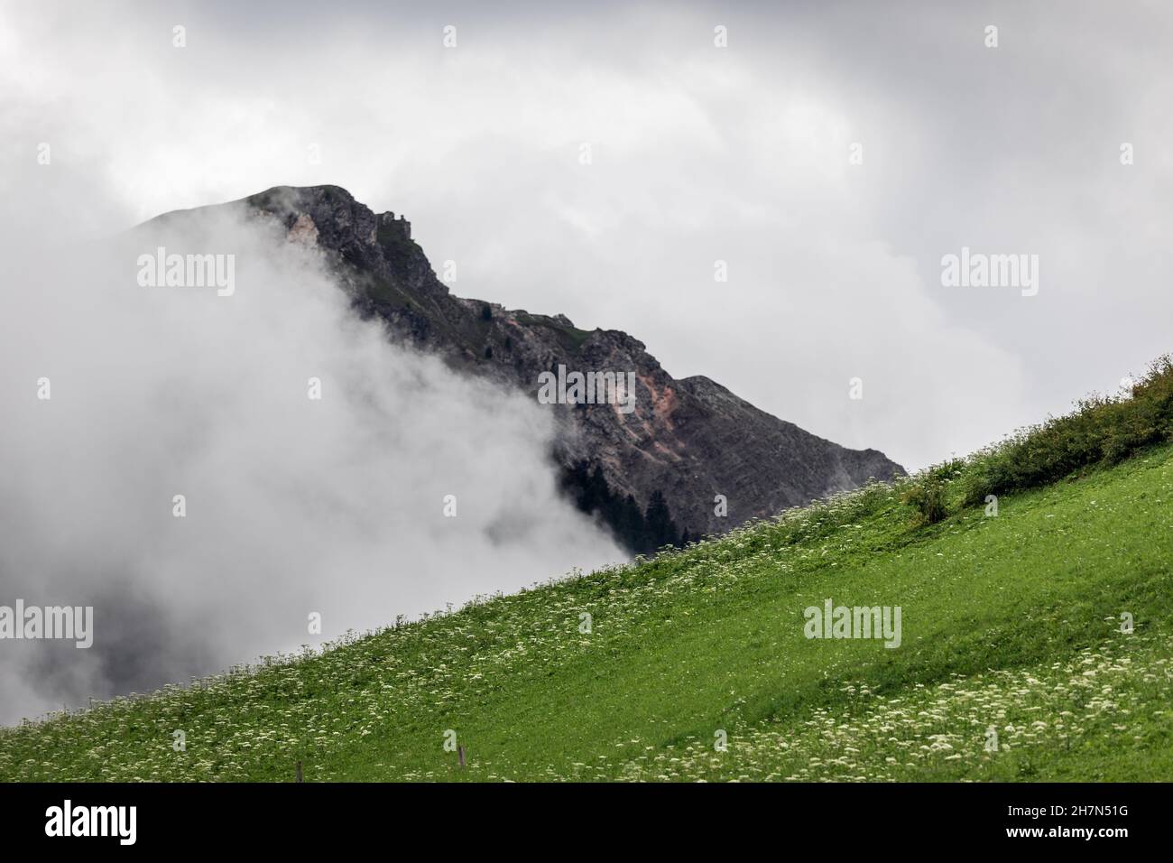Alpine hill covered with fresh green grass on a foggy day Stock Photo
