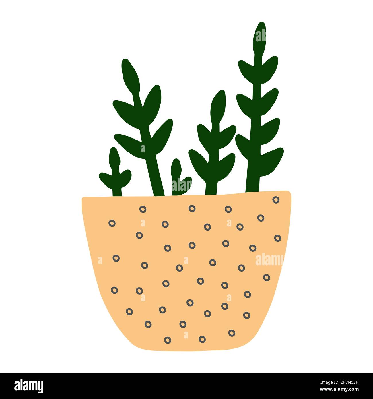 vector doodle flower pot with plant color isolated Stock Vector Image