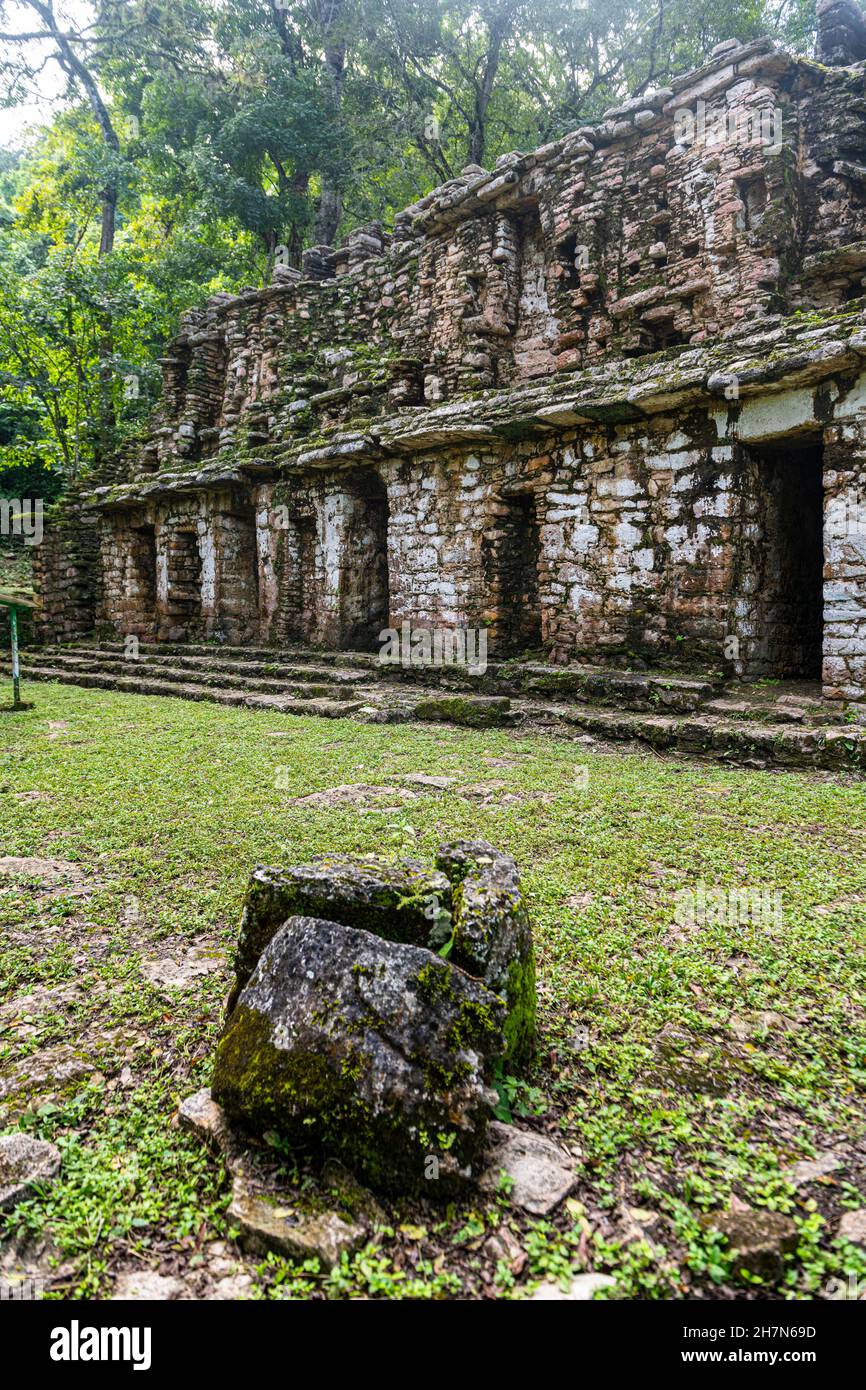 Archeological Maya site Yaxchilan in the jungle of Chiapas, Mexico ...