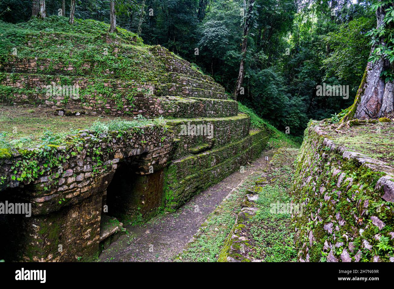 Archeological Maya site Yaxchilan in the jungle of Chiapas, Mexico ...
