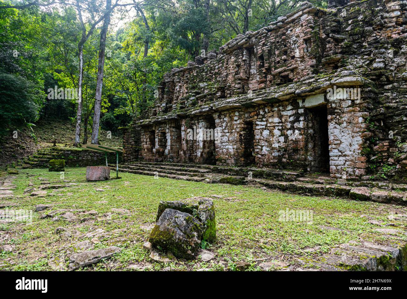 Archeological Maya site Yaxchilan in the jungle of Chiapas, Mexico ...