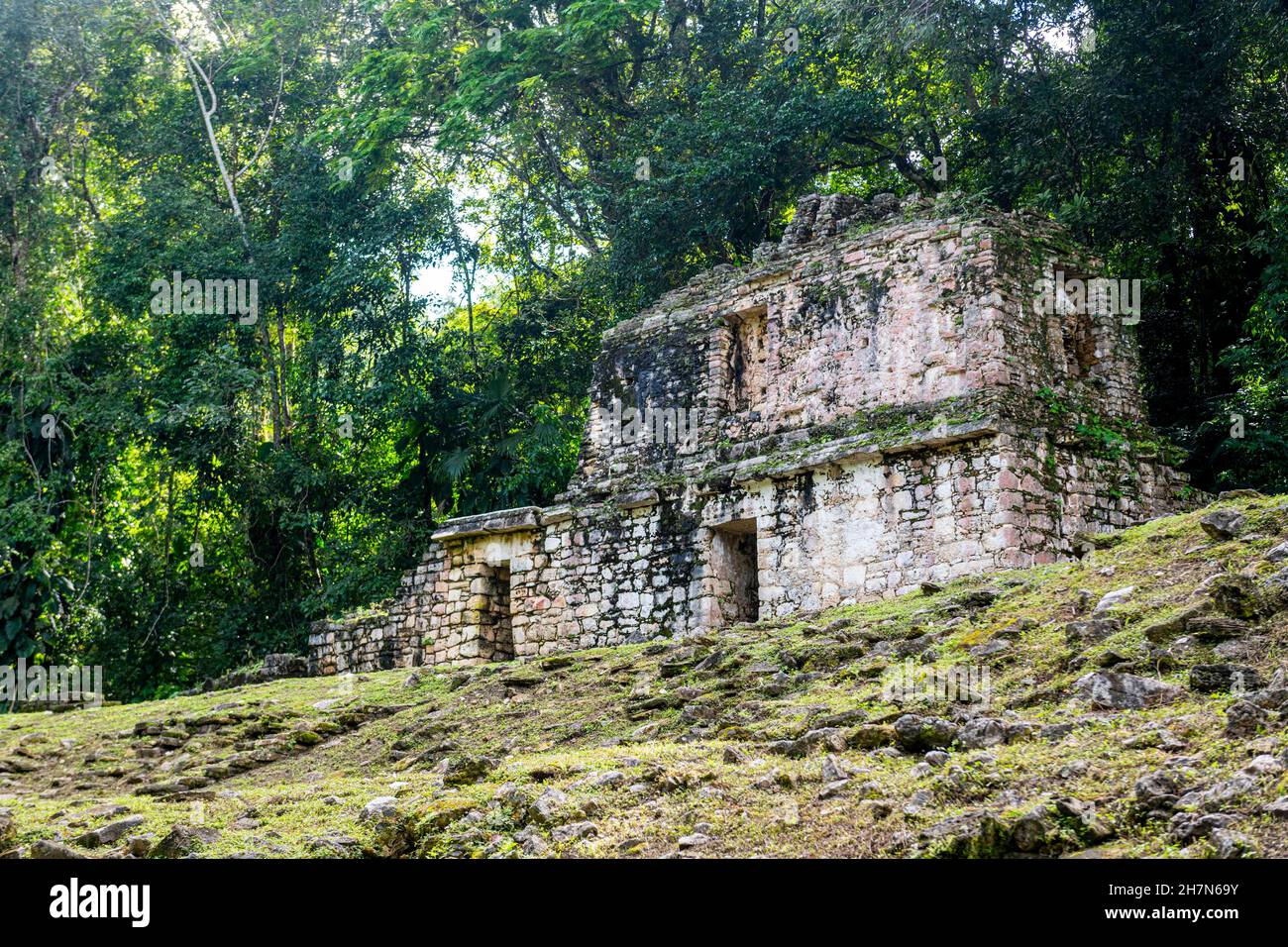 Archeological Maya site Yaxchilan in the jungle of Chiapas, Mexico ...