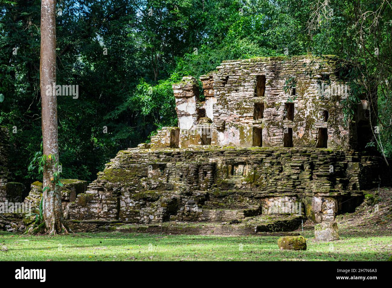 Archeological Maya site Yaxchilan in the jungle of Chiapas, Mexico ...