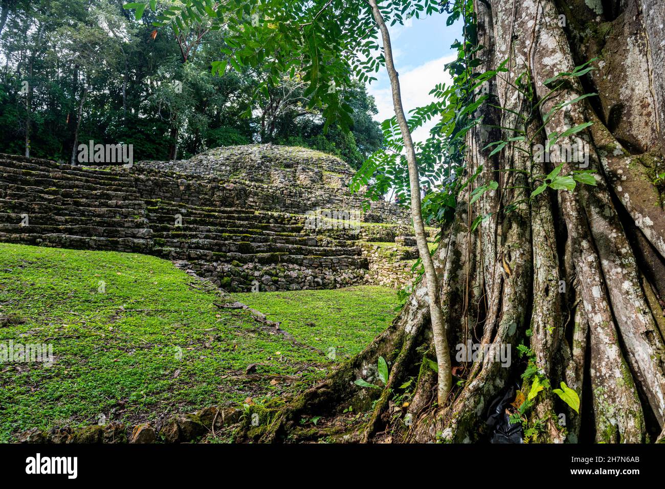 Archeological Maya site Yaxchilan in the jungle of Chiapas, Mexico ...