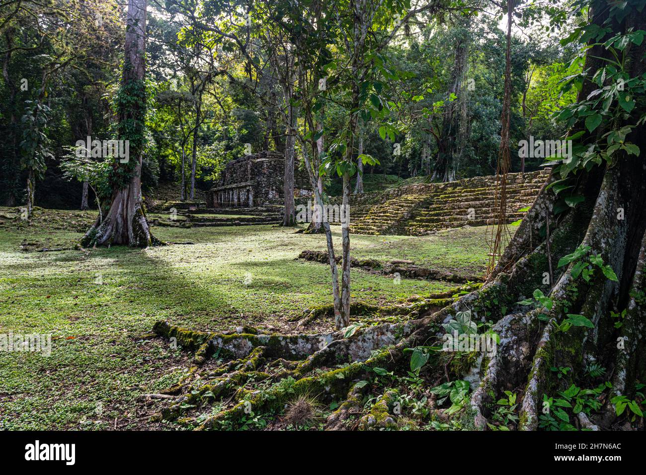 Archeological Maya site Yaxchilan in the jungle of Chiapas, Mexico ...