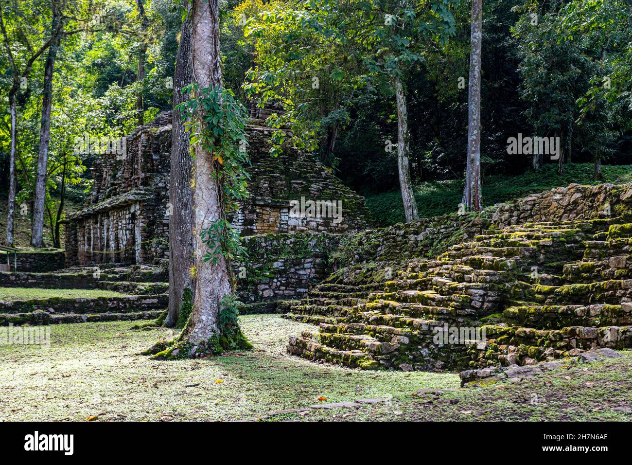 Archeological Maya site Yaxchilan in the jungle of Chiapas, Mexico ...
