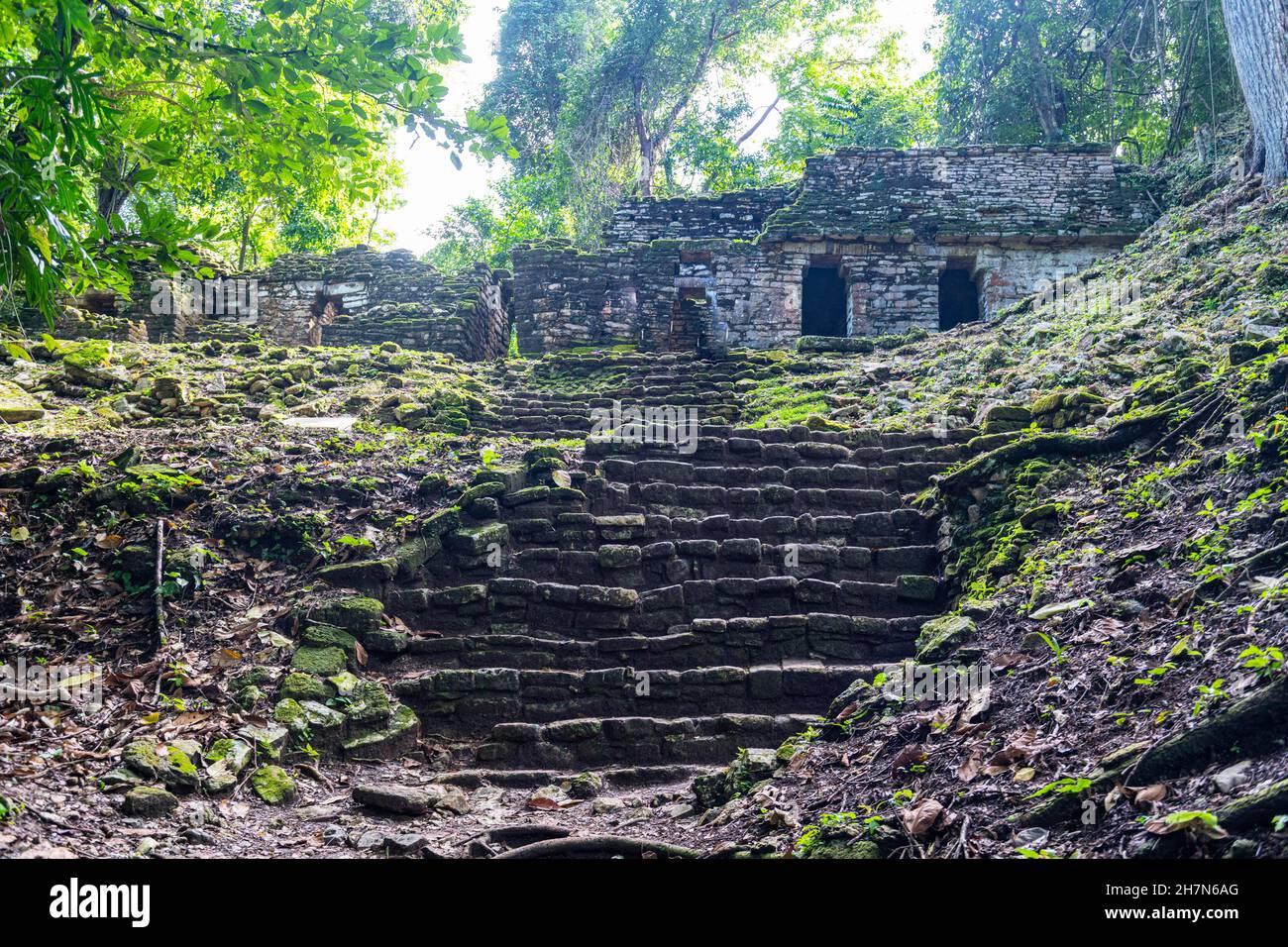 Archeological Maya site Yaxchilan in the jungle of Chiapas, Mexico ...