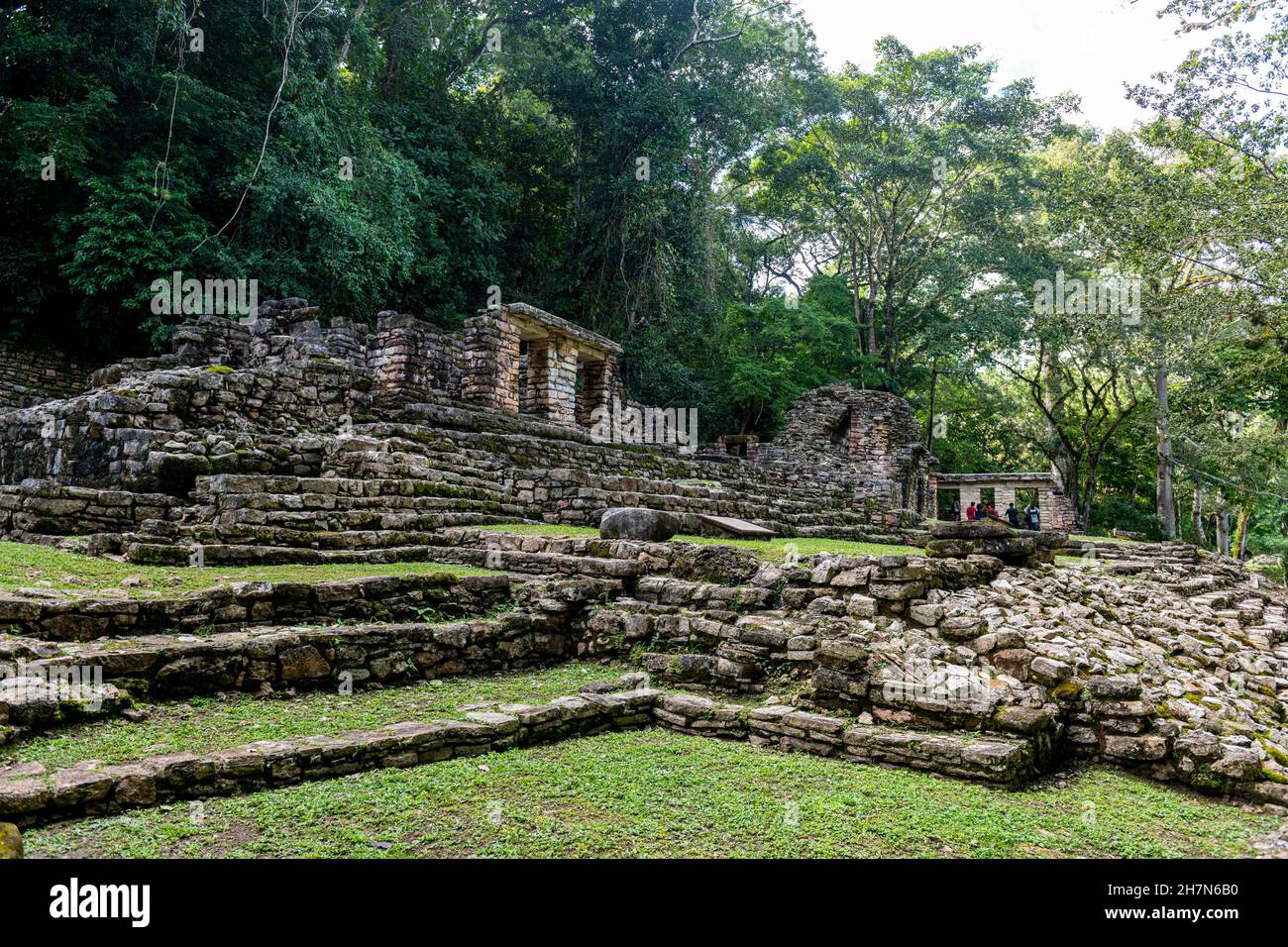 Archeological Maya site Yaxchilan in the jungle of Chiapas, Mexico ...