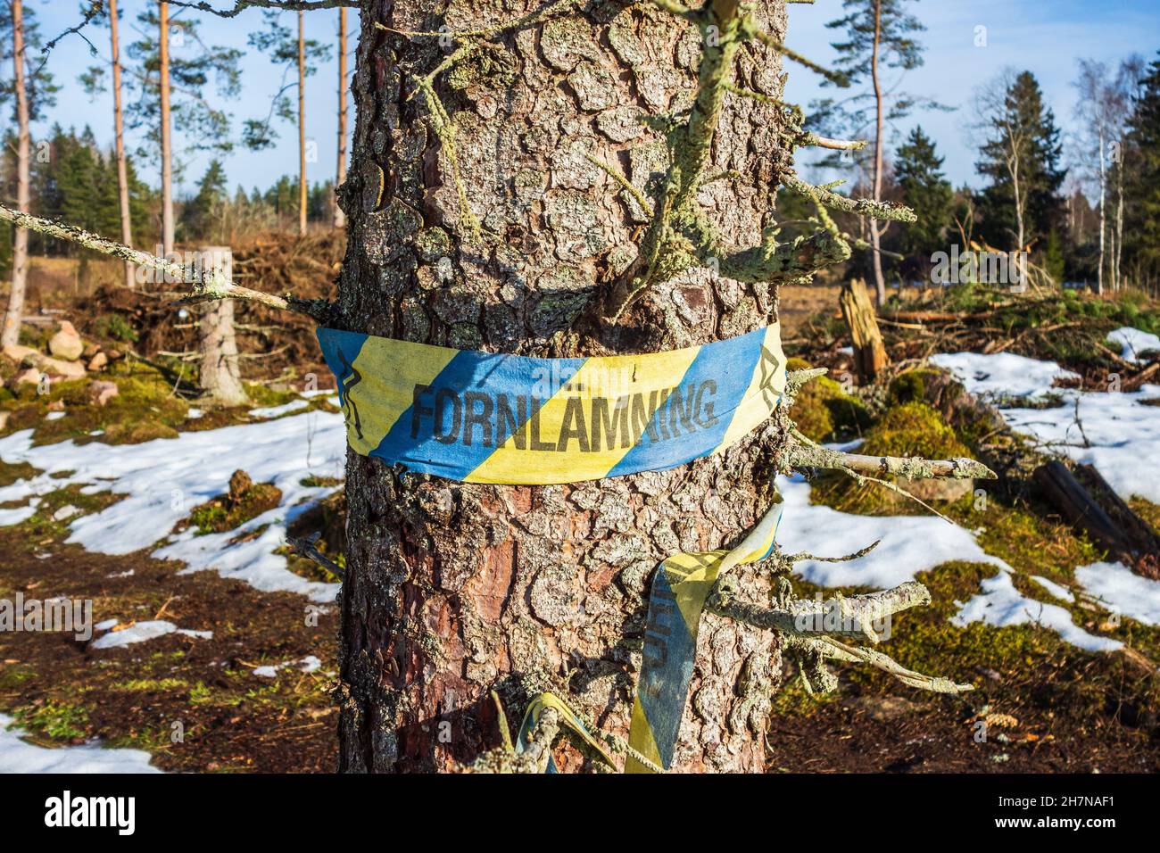 Warning sign for ancient memory for forestry in Swedish Stock Photo