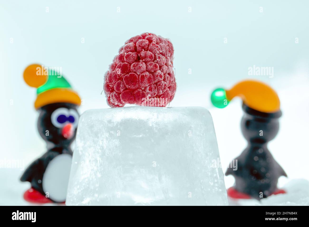 A pair of penguins made from Venetian glass in front of frozen raspberry on the ice cube. Animal figurines made from Murano glass. Handmade fine art. Stock Photo