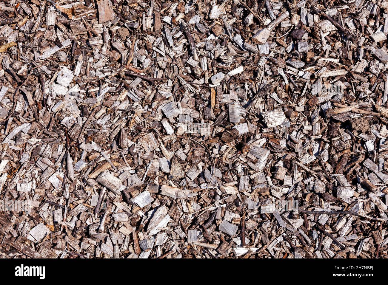 Wood chip bark chippings having been shredded for use as a garden mulch