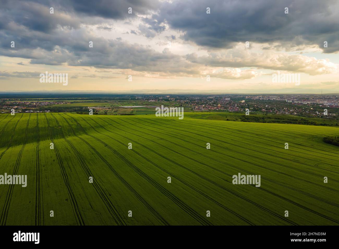 Aerial landscape view of green cultivated agricultural fields with ...