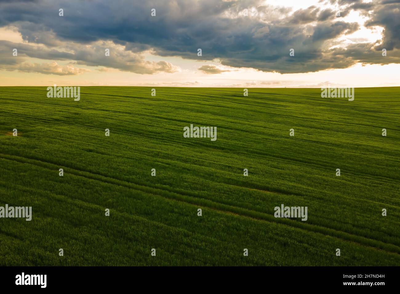 Aerial landscape view of green cultivated agricultural fields with ...