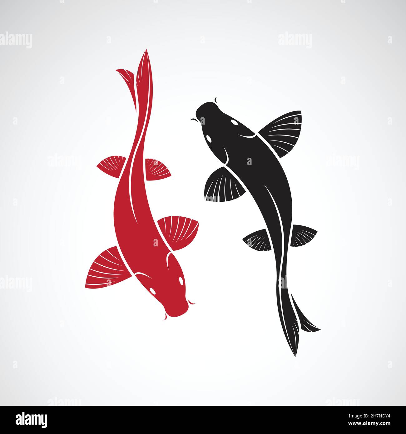 Vector of carp koi fish isolated on white background. Pet Animal. Easy editable layered vector illustration. Stock Vector
