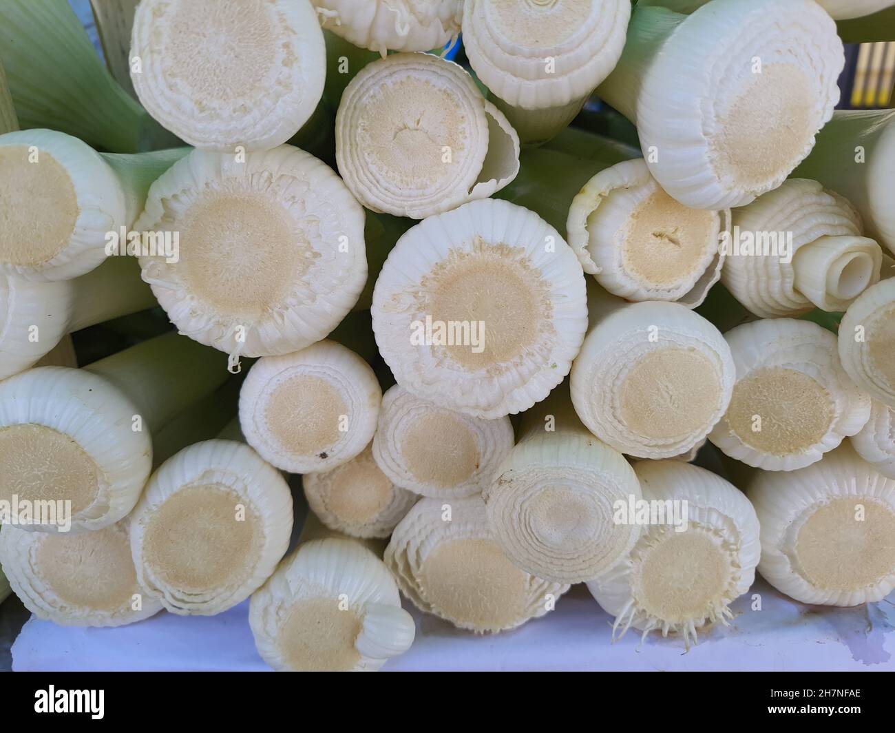 Leeks piled up at a street fair are a vegetable that belongs to the same family (Amaryllidaceae) as onions and garlic. Stock Photo