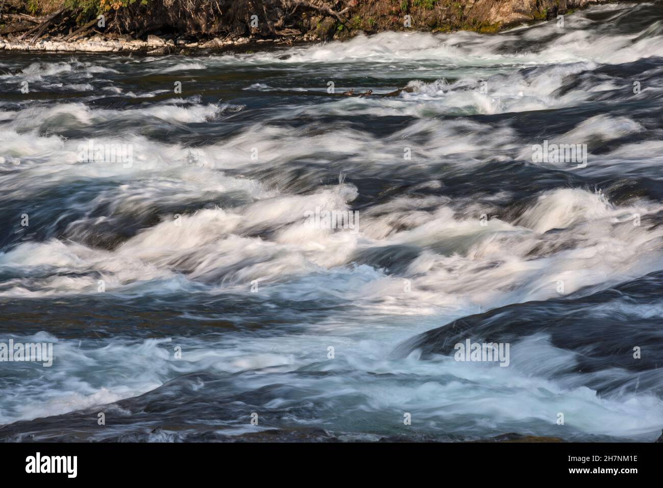 LeHardy rapids on Yellowstone River, Yellowstone National Park, Wyoming, USA Stock Photo