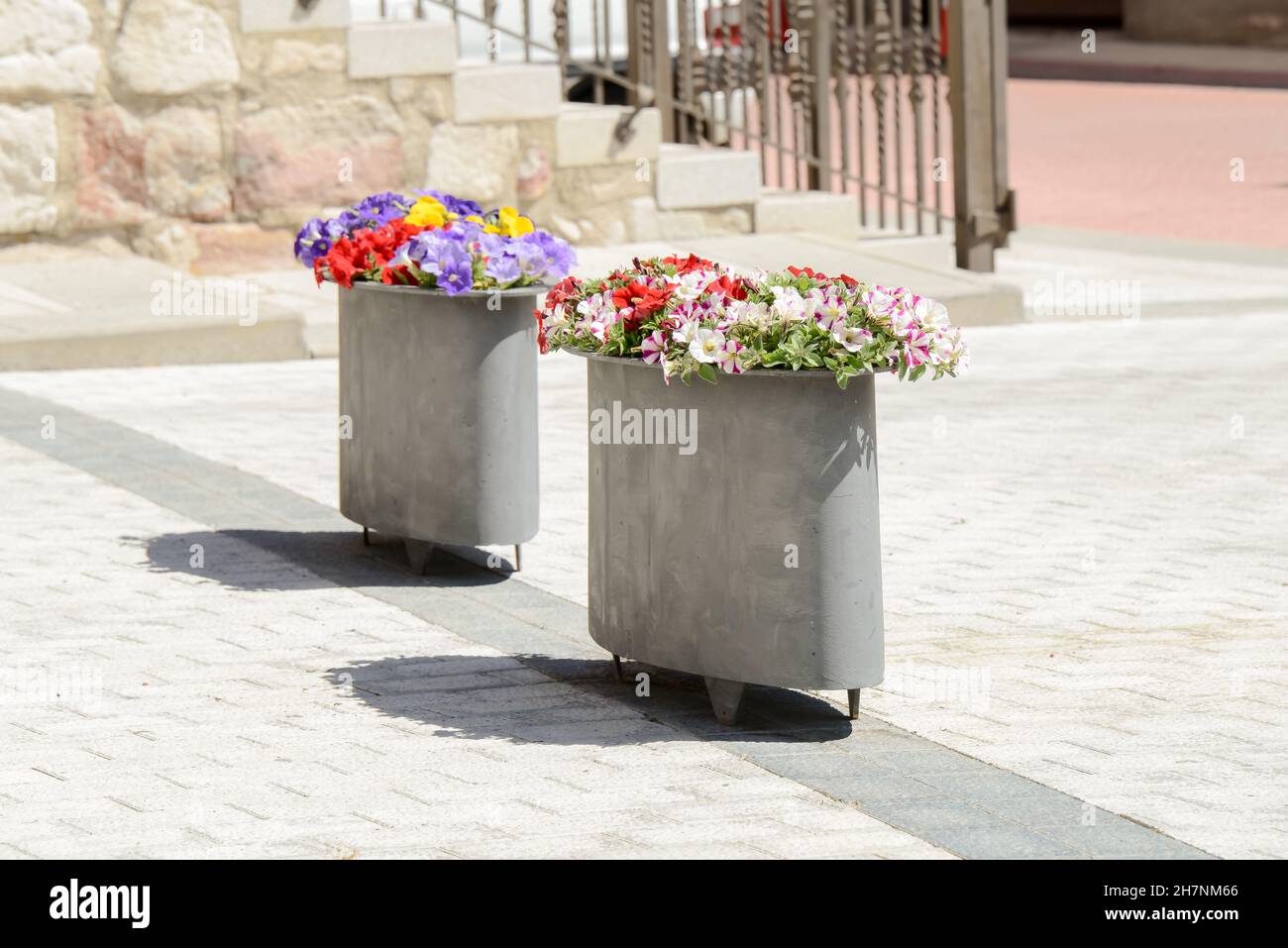 Petunia table azure deals