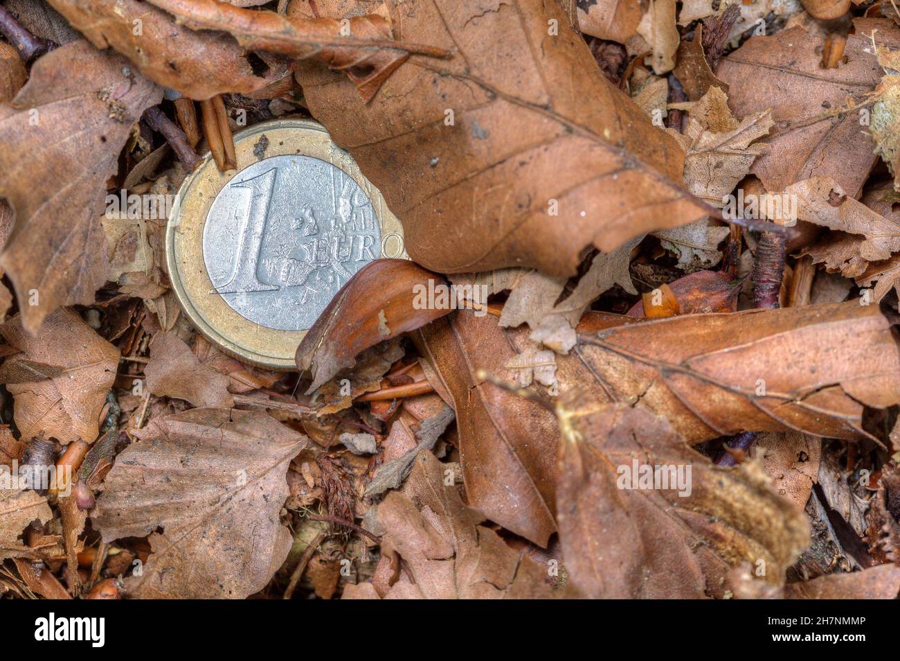 One euro coin lies in withered leaves. Dry times for savers, minus interest rates and inflation are eating away at wealth. Stock Photo