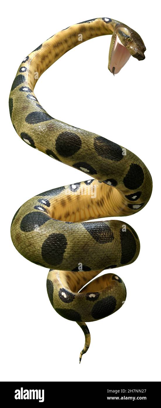Anaconda 3d hi-res stock photography and images - Alamy