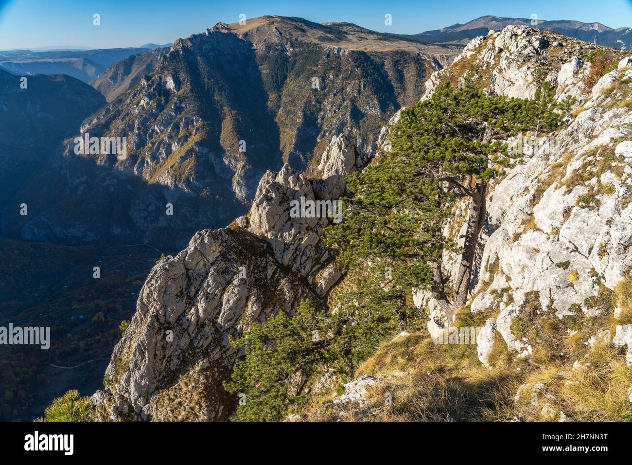 Blick vom Aussichtsgipfel Curevac in die Tara Schlucht, Durmitor Nationalpark, Žabljak, Montenegro, Europa  |    Tara Canyon seen from Curevac viewpoi Stock Photo